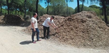 El PP critica 'el grave riesgo' de incendios en Aljaraque por el apilamiento 'sin control' de madera en pinares