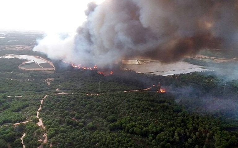 Tres responsables de Carbones Fergón declararán como investigados por el incendio de Doñana