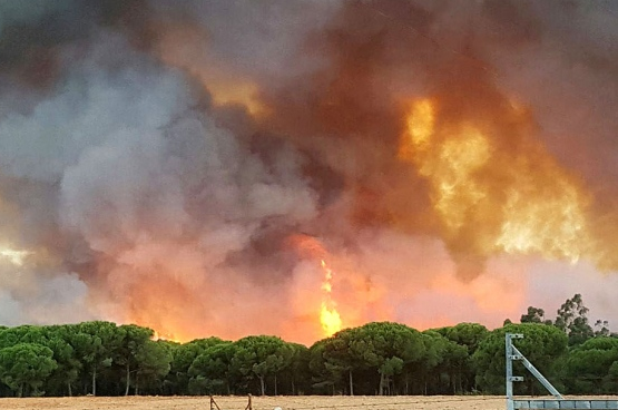 El fuego ha quemado casi 30 veces más superficie en lo que llevamos de año que en todo 2016