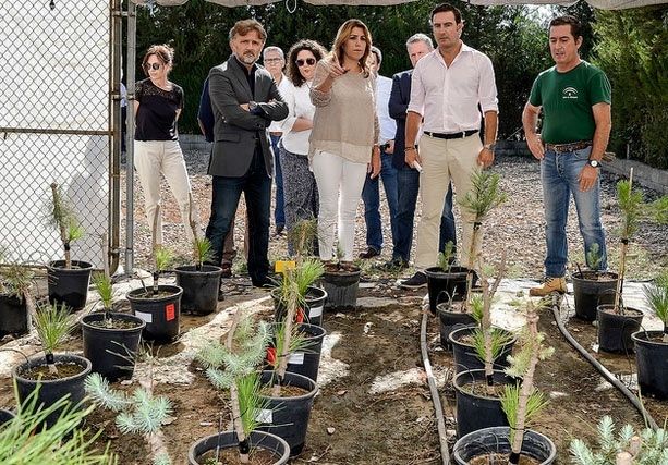 Viveros andaluces preparan la producción de plantas para restaurar el entorno de Doñana tras el incendio