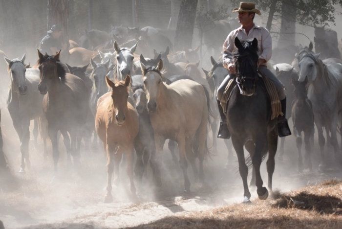 Hinojos celebra este domingo su tradicional 'Recogida de las Yeguas' tras salvar la polémica con los ganaderos