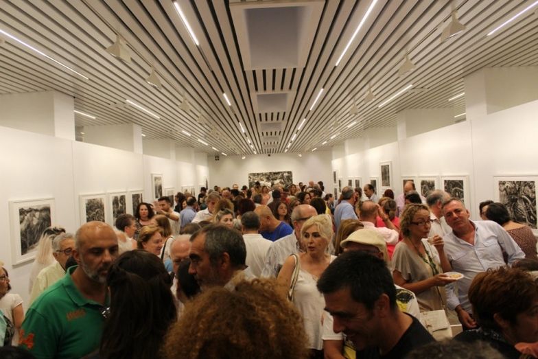 La Sala de la Provincia muestra el 'Oculto esplendor' de Doñana a través de la mirada esencial de Seisdedos