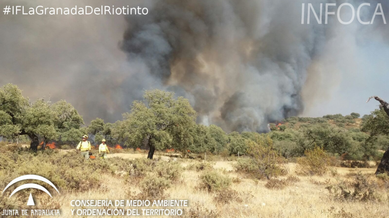 Medio centenar de bomberos forestales trabajan en un incendio declarado en La Granada de Riotinto