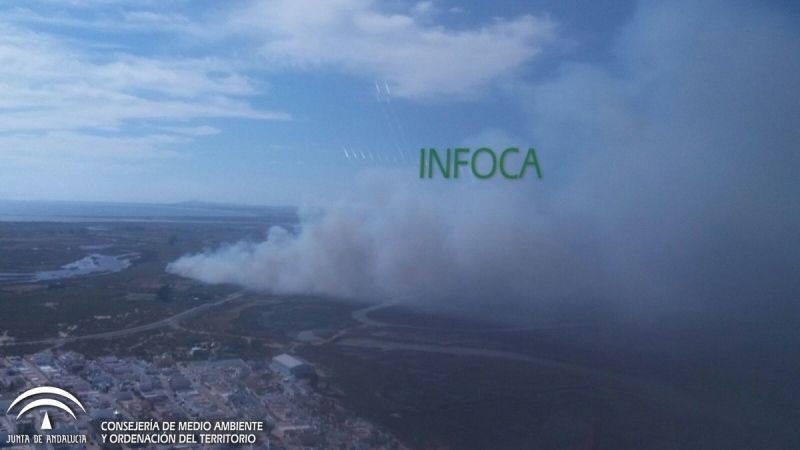 Declarado un incendio en una zona de marismas en el paraje Isla Canela de Ayamonte
