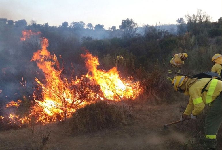 Extinguido un conato de incendio forestal en el paraje La Peñuela de Niebla