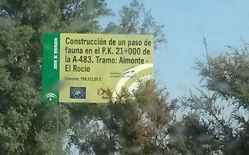 La Junta inicia la construcción de un paso inferior entre El Rocío y Almonte para reducir el riesgo de atropello de fauna