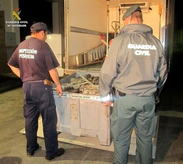 La provincia acapara el 91% del pescado y marisco decomisado a nivel andaluz