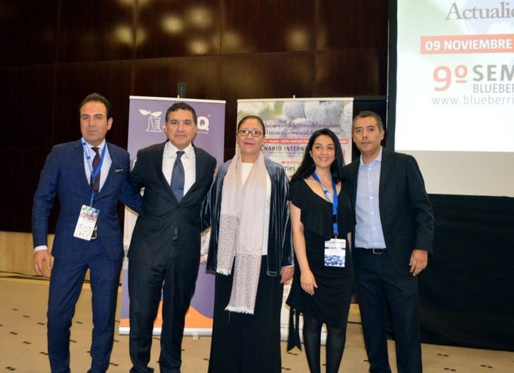 El comercio exterior de frutos rojos de Huelva aporta más de la mitad del superávit comercial de Andalucía