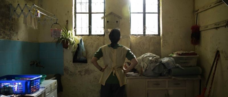 ‘La novia del desierto’ se alza con el Colón de Oro de la 43 edición del Festival de Cine Iberoamericano