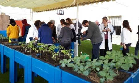 Los menores atendidos en la Unidad de Salud Mental Infanto-Juvenil del Hospital Vázquez Díaz cuentan con una nueva terraza lúdico-educativa