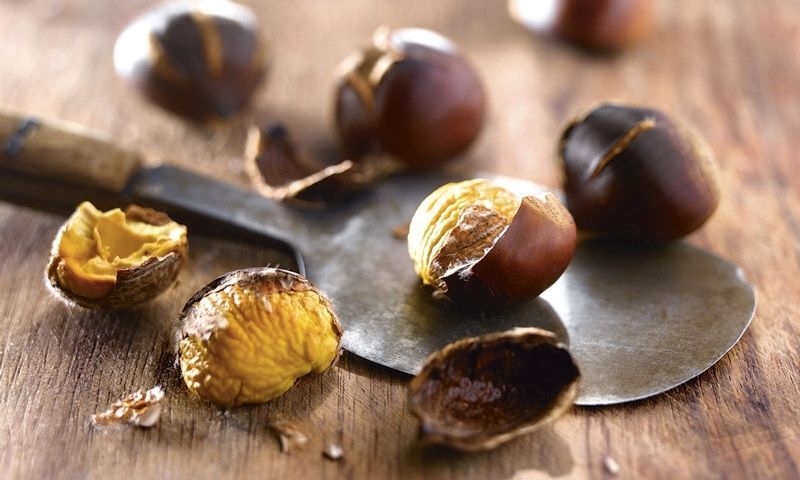 Buenas razones para comer castañas