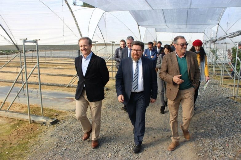 Frutos rojos e I+D: motor económico de Huelva, según la Junta
