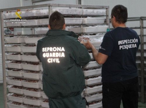 Intervienen casi 6.000 kilos de pulpo sin etiquetar en una nave de Ayamonte y lo entregan al Banco de Alimentos