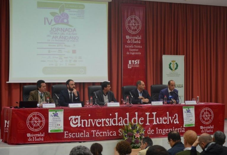La provincia cuenta con la mayor zona productora de arándano de Europa para la cosecha temprana