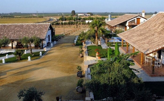 El runrún: El Rocío de tus sueños