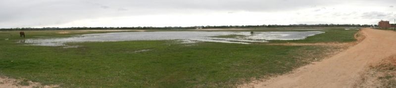 El Ayuntamiento de Almonte construirá una nueva circunvalación en El Rocío