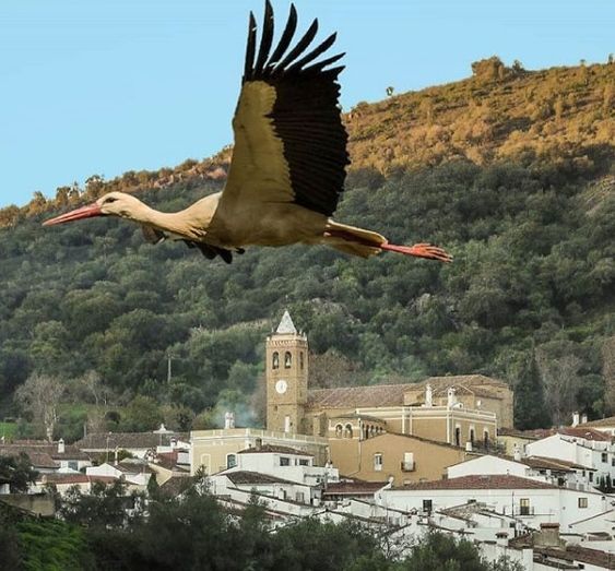 Una fotografía de Almonaster la Real, premiada en la II edición del Concurso de los Pueblos más Bonitos de España