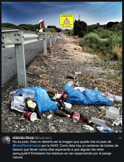 El runrún: Peregrinos de deshecho