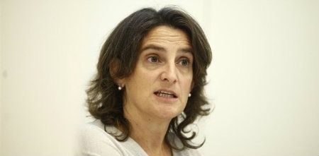 Mesa de la Ría le envía una carta a la nueva ministra de Medio Ambiente para que acuda a la próxima reunión de la Mesa de los Fosfoyesos