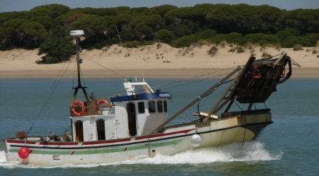El sector de la chirla de Punta Umbría se concentrará la semana próxima para 'hacer oír' sus reivindicaciones