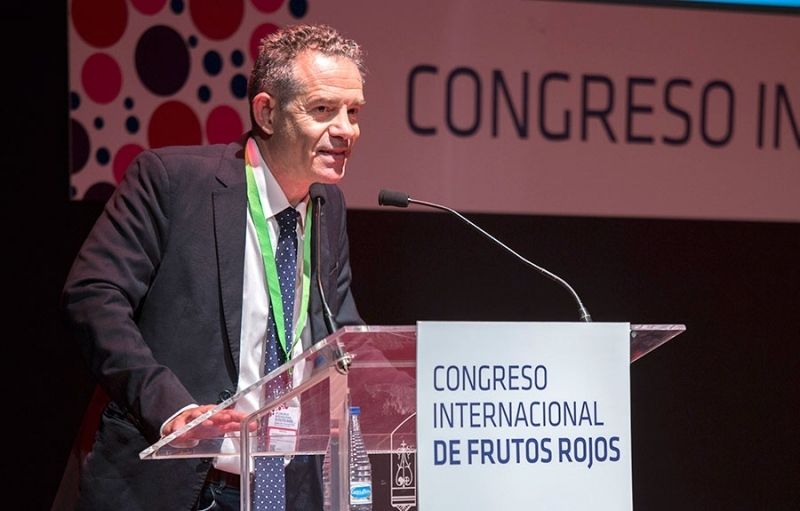 El mercado, cualidades saludables del arándano y la investigación, protagonistas en el Congreso de Frutos Rojos