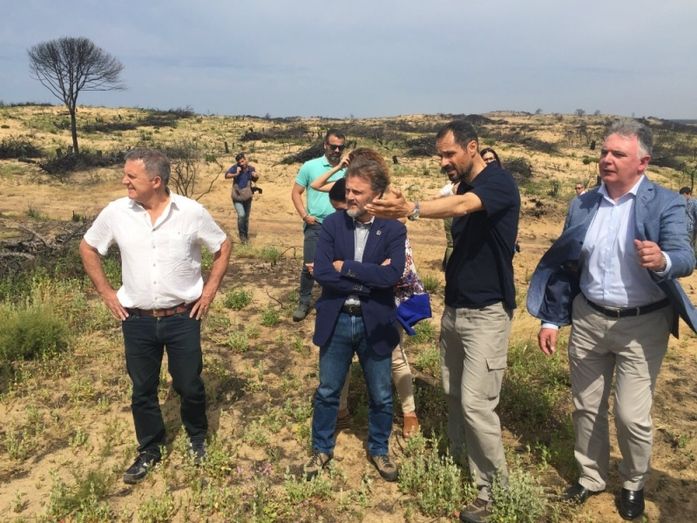 La reforestación de la zona del incendio de Doñana comenzará en otoño e incidirá en la adaptación al cambio climático