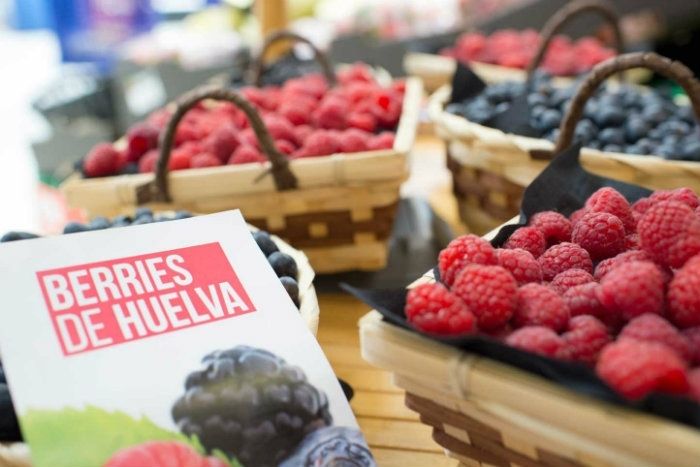 Huelva, líder de Europa en producción de frutos rojos con una facturación de más de 470 millones