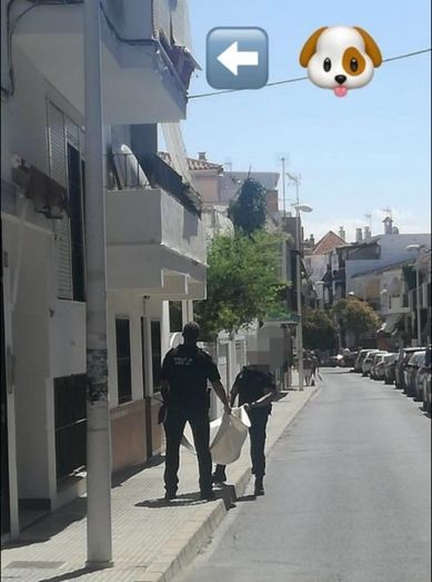 La Policía Local de Punta Umbría alerta de los riesgos de dejar solas a las mascotas
