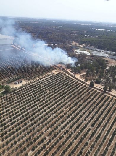 Más de 20 bomberos del Infoca trabajan en un nuevo incendio forestal en Moguer que ya está controlado
