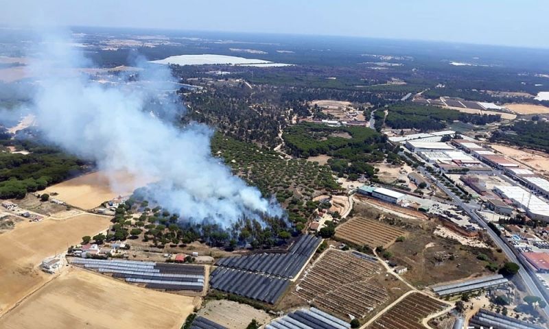 Medios terrestres luchan contra un incendio declarado en el paraje Montemayor de Moguer