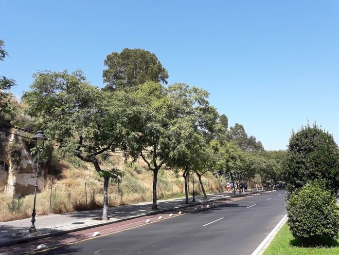 El Defensor del Pueblo Andaluz admite a trámite la queja de 'Huelva te mira' sobre los Cabezos