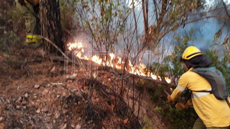 Controlan con rapidez un incendio forestal en Valverde