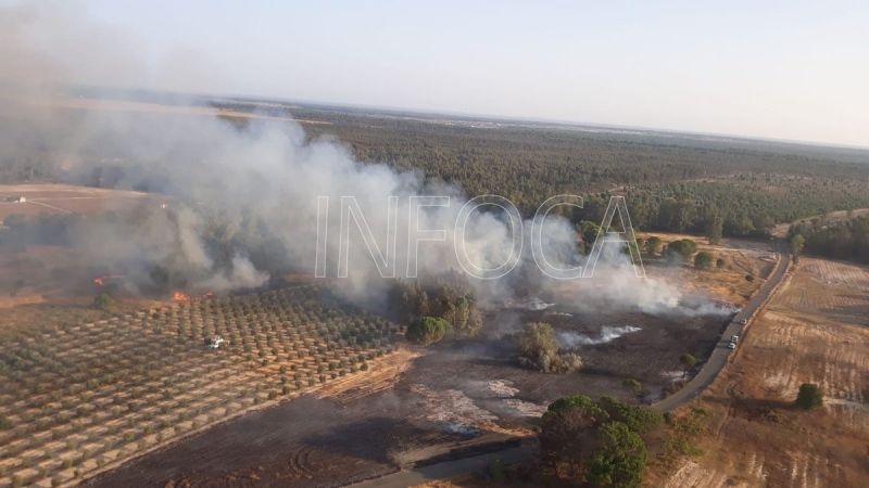 Controlado el incendio forestal de Rociana