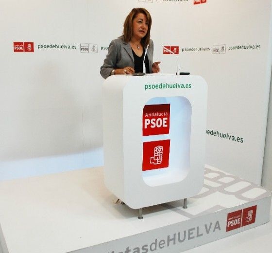 El PSOE cree que el PP 'no es creíble' al 'no presentar su proyecto' y teme que 'siga la estela de los recortes'