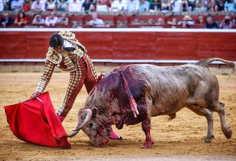 La provincia cierra la temporada taurina con 78 espectáculos, la mayoría festejos populares