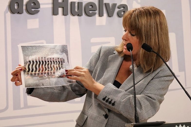 El PP acusa a Cruz de presentar el mismo plan de limpieza que en 2016 'pese a reconocer que fue un fracaso'