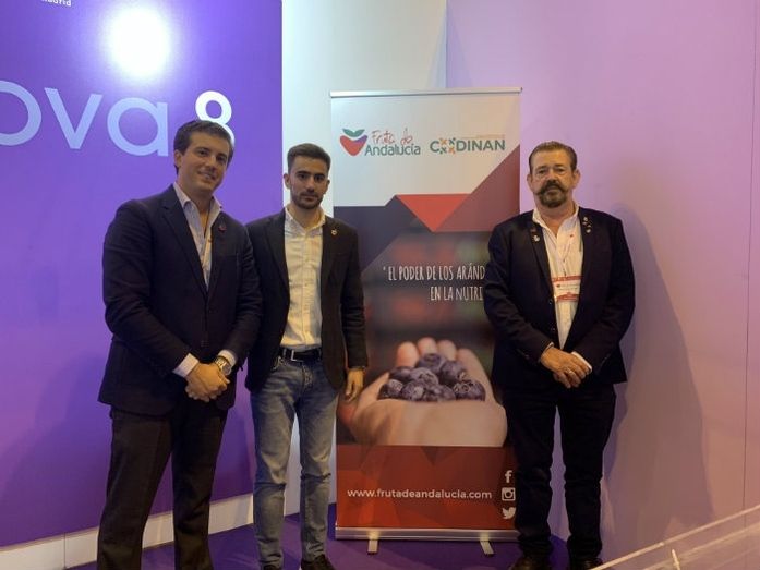 Los arándanos, un potente alimento contra la obesidad