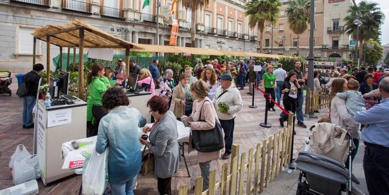 Huelva celebra su primer Mercado de las Flores y las Plantas