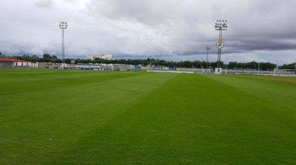 El césped de la Ciudad Deportiva del Recre ya parece otro