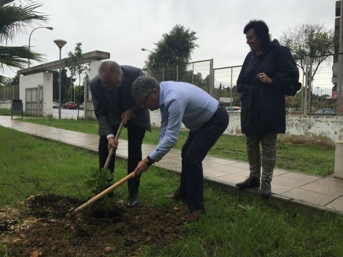 Desarrollan un programa de educación terapéutica para mejorar la atención a los pacientes de EPOC