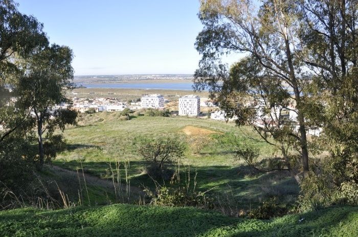 Cinco motivos por los que visitar Huelva 