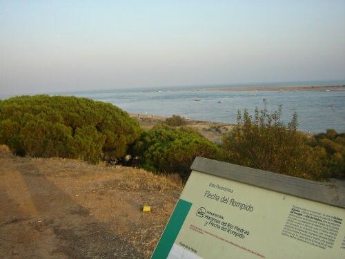 El Ayuntamiento de Cartaya ultima con Costas y Parajes Naturales la campaña de playas 2012