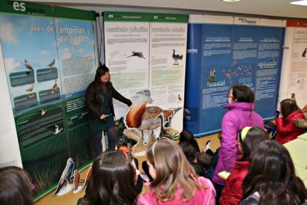El Teatro España de La Palma acerca las aves esteparias a escolares y colectivos a través de una exposición