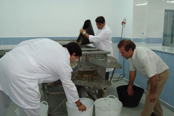 El Centro de Expedición de la Coquina de Doñana abre sus puertas