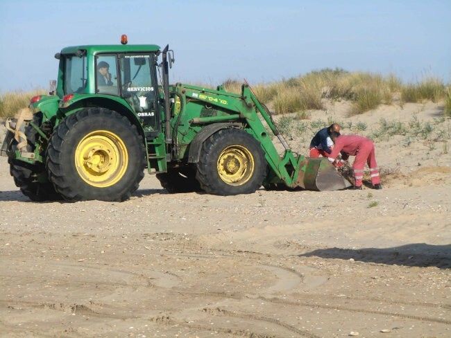 Las playas de Cartaya, listas para recibir a los visitantes en Semana Santa