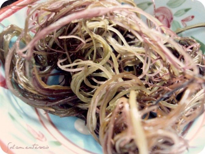 Tortillitas de bacalao de mi abuela con ognori roja
