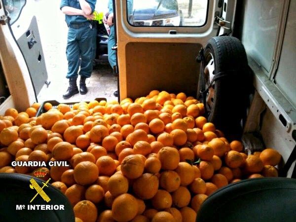 La Guardia Civil imputa a siete personas por robo de naranjas