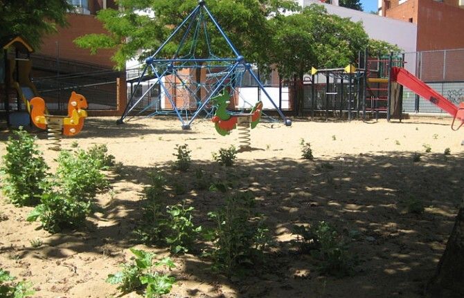 PSOE dice que vecinos de Santa Marta costean el 50% del mantenimiento 'por la incapacidad del gobierno'