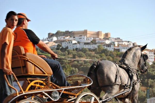 La Copa del Rey de doma vaquera centra las actividades de la Feria Ganadera de Aroche