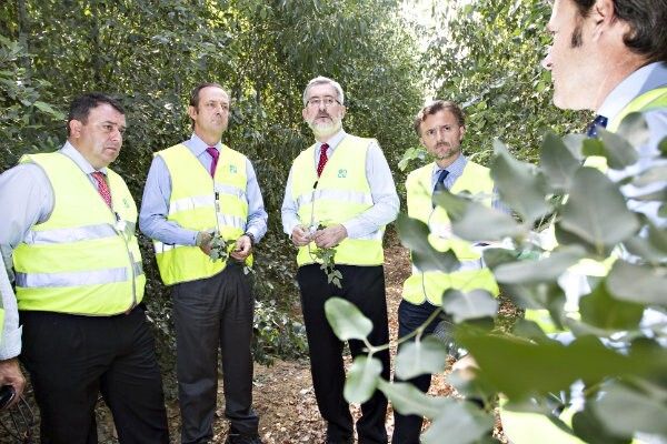 La planta de 50MW de Ence prevé abrir sus puertas a mediados de enero